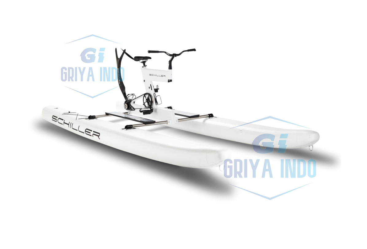 Schiller bike S1-C WATER BIKE New For Sale