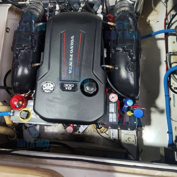 Volvo Penta V8 300 DPS