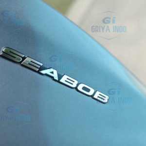 SEABOB F5 SR water sled For Sale