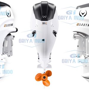 E-Motion Vision Marine 180 E Outboard Engine